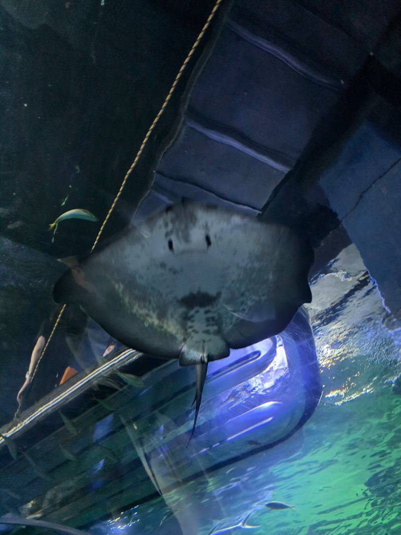 아쿠아리움 투어..