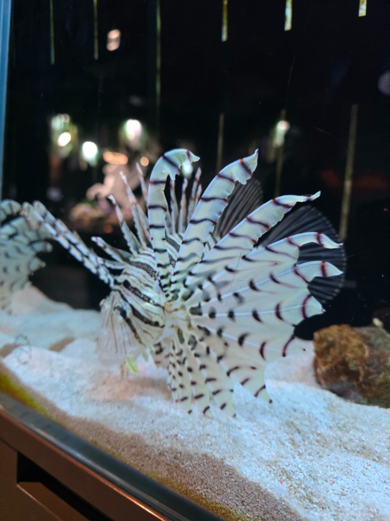 아쿠아리움 투어..