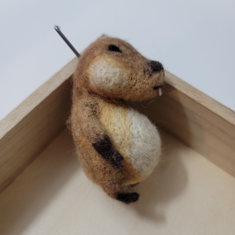 양모인형 만들기 두번째 #비버