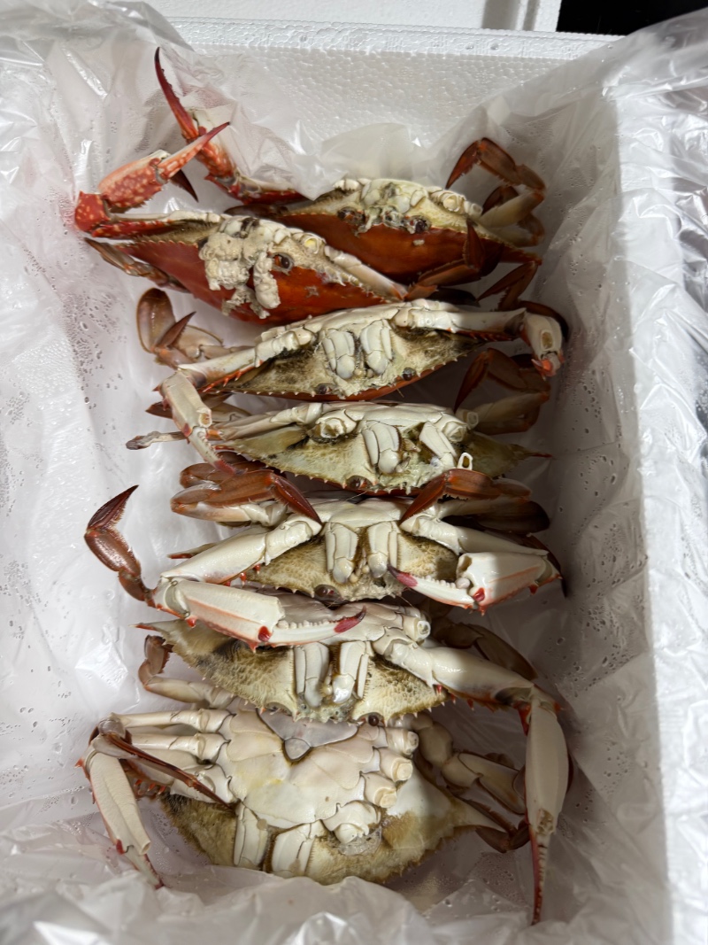 주말 저메추 ㅎ