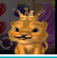 사자형난 승(비빔아고생했어)