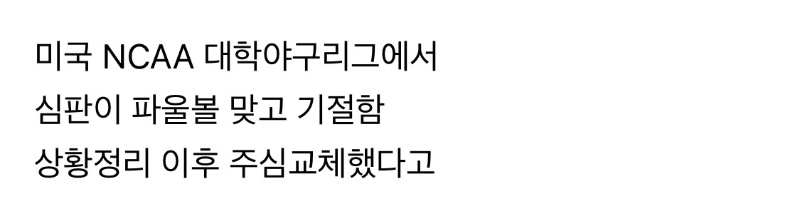 심판기절 파울볼