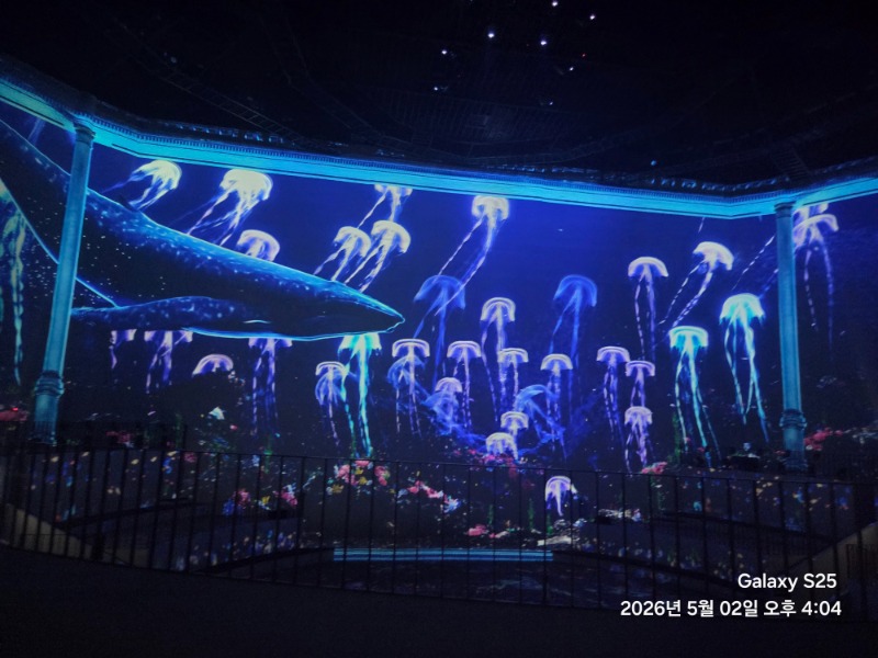 제주제주제주!!!