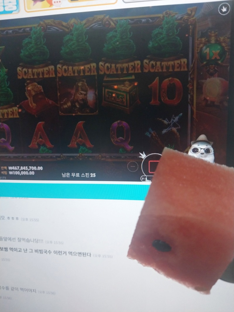 사랑하는 물개야