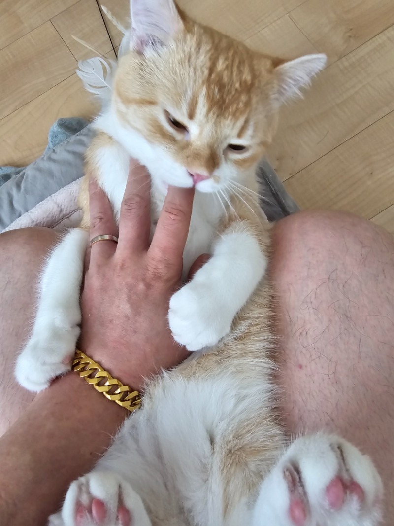 울지양이소개합니다ㅋㅋ