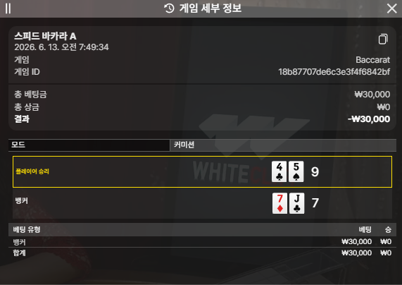 바카라 3번재도전결과