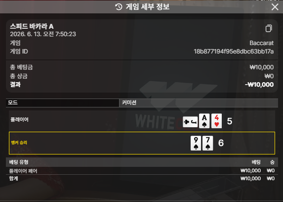 바카라 3번재도전결과
