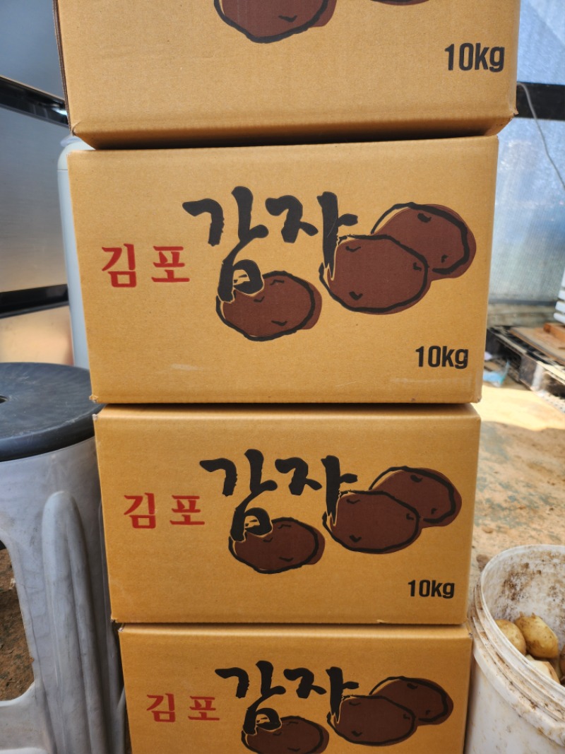 감자 수확 힘들다