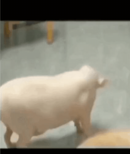때으니 생일이라메?