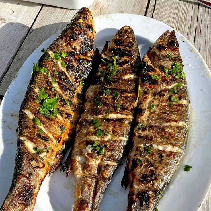 양쓰~~~  쩌메~~~