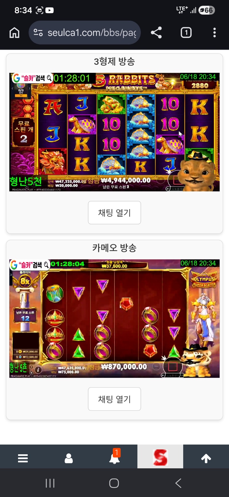 동시 시청 가보자구욧 ~~ 동시 시청 가보자구욧 ~~