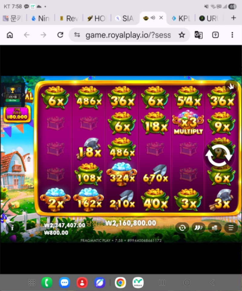 24983.jpg