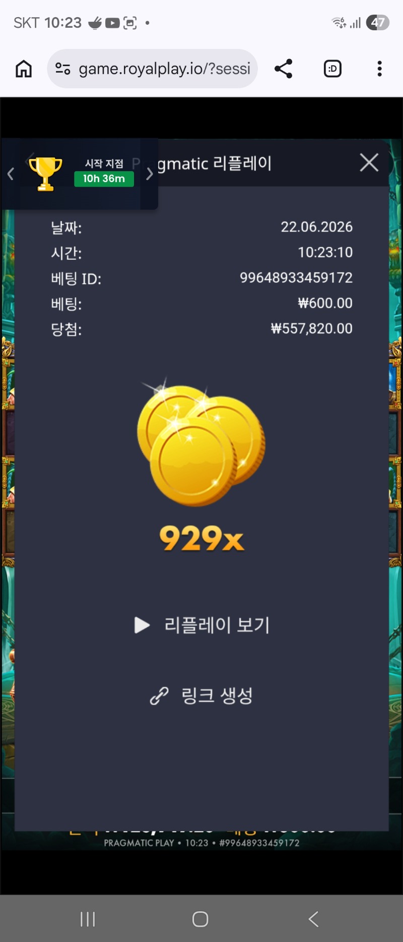 39013.jpg