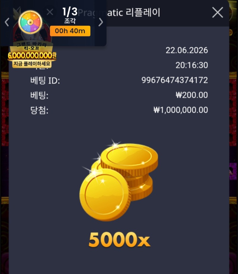 1000036294.jpg