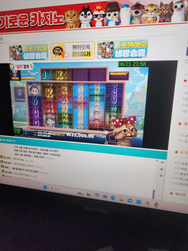 양이 방 시작햇읍니다 양이 방 시작햇읍니다