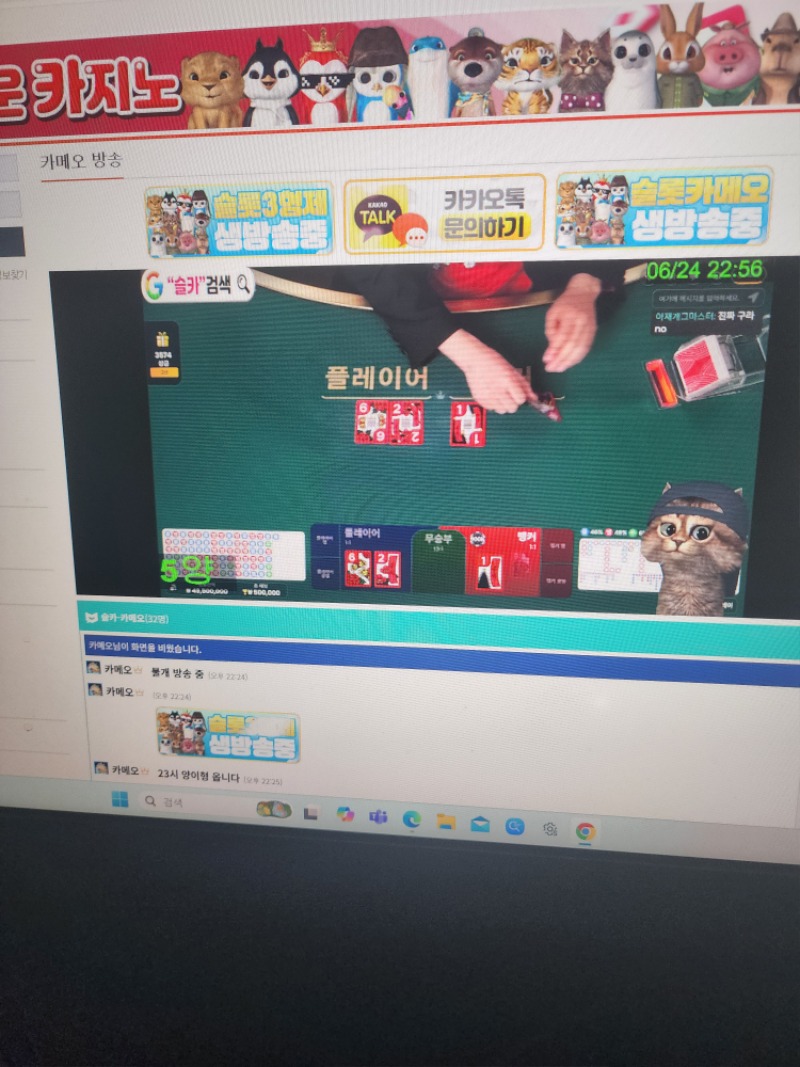섯다로 시작하는 양이 방송~~ 섯다로 시작하는 양이 방송~~