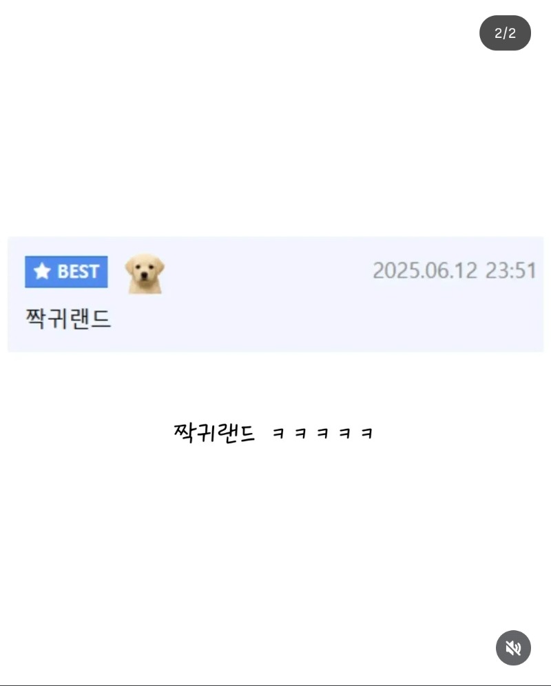 레고랜드 직원근황