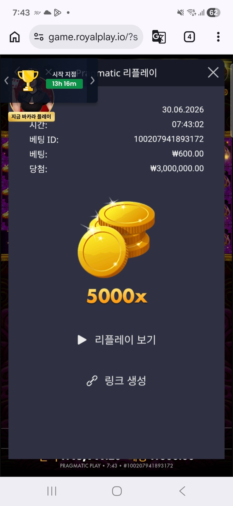 3306.jpg