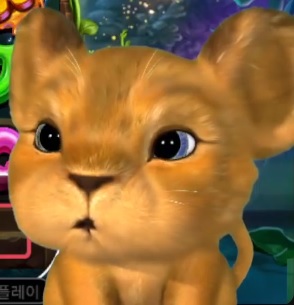 사자 사진 나두 올려야징