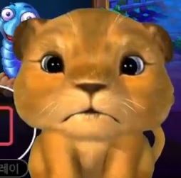 사자 사진 나두 올려야징