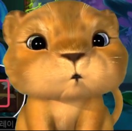 사자 사진 나두 올려야징