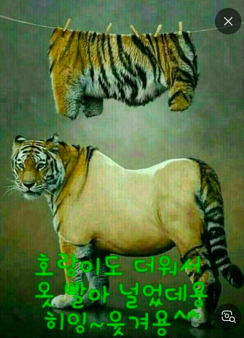 무지 더워요 더위조심 감기조심요~ 무지 더워요 더위조심 감기조심요~