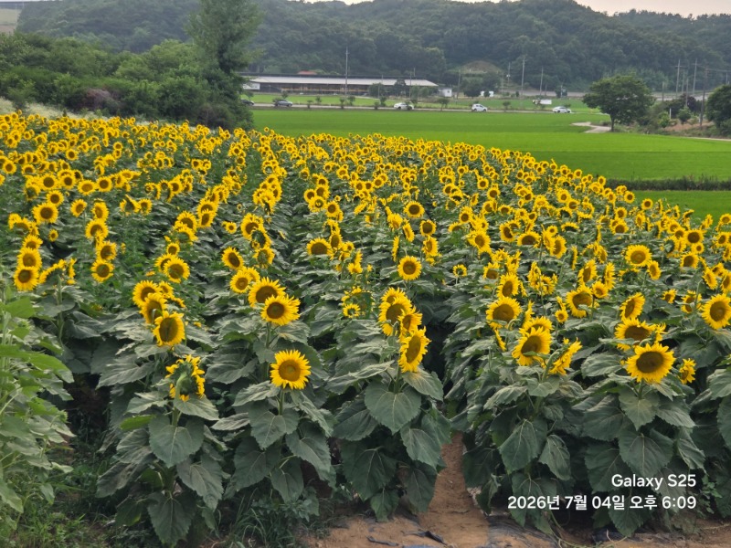 당일치기 2차 사진 ㅋㅋ