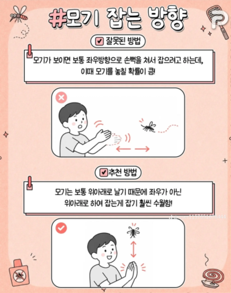 모기 쉽게 잡는법