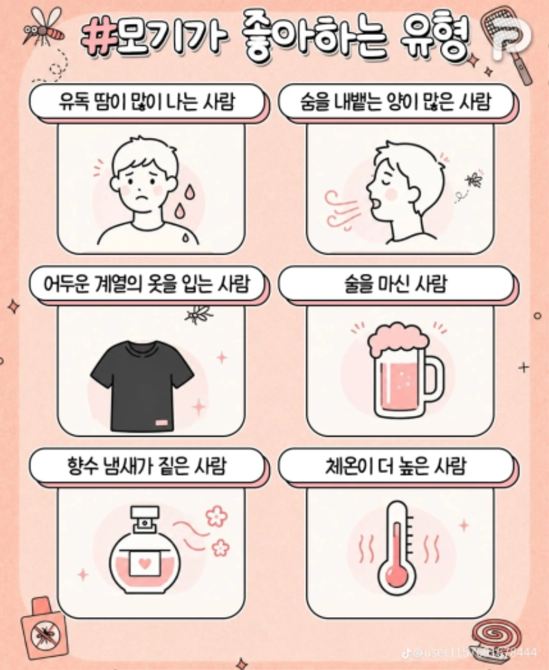 모기 쉽게 잡는법