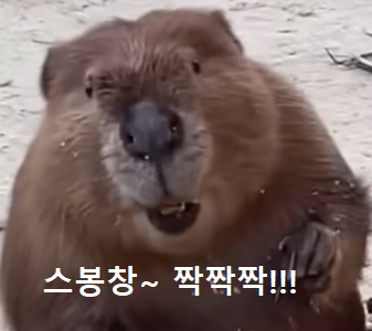 JUST DO IT 짜스틴 비버!!! JUST DO IT 짜스틴 비버!!!