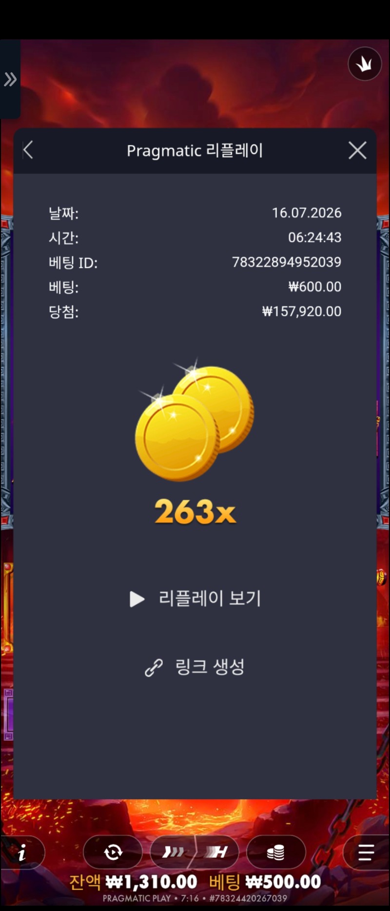 310.jpg