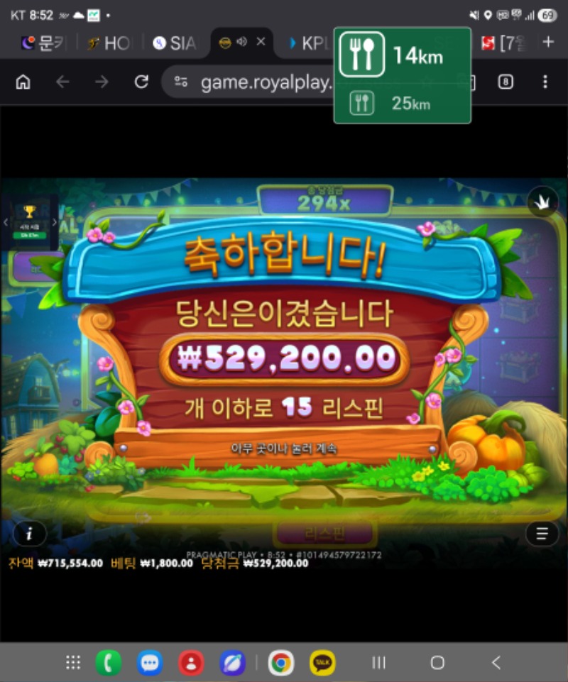 25751.jpg