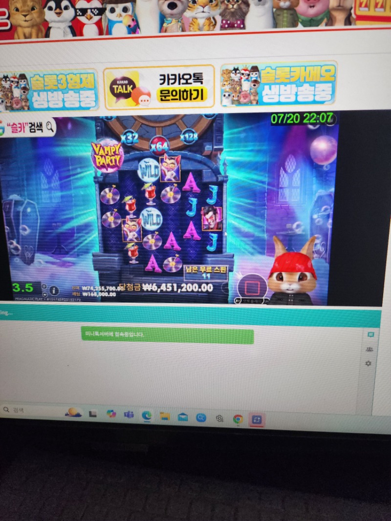 토끼 방송 중입니다~~ 토끼 방송 중입니다~~