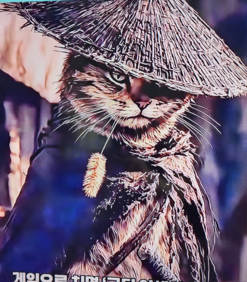 양이 두가지 모습~~ 양이 두가지 모습~~