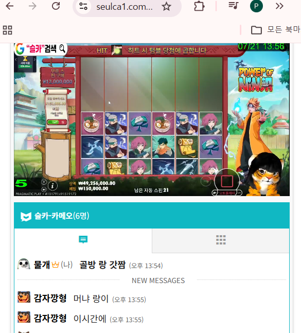 랑이횽 방송시작! 랑이횽 방송시작!